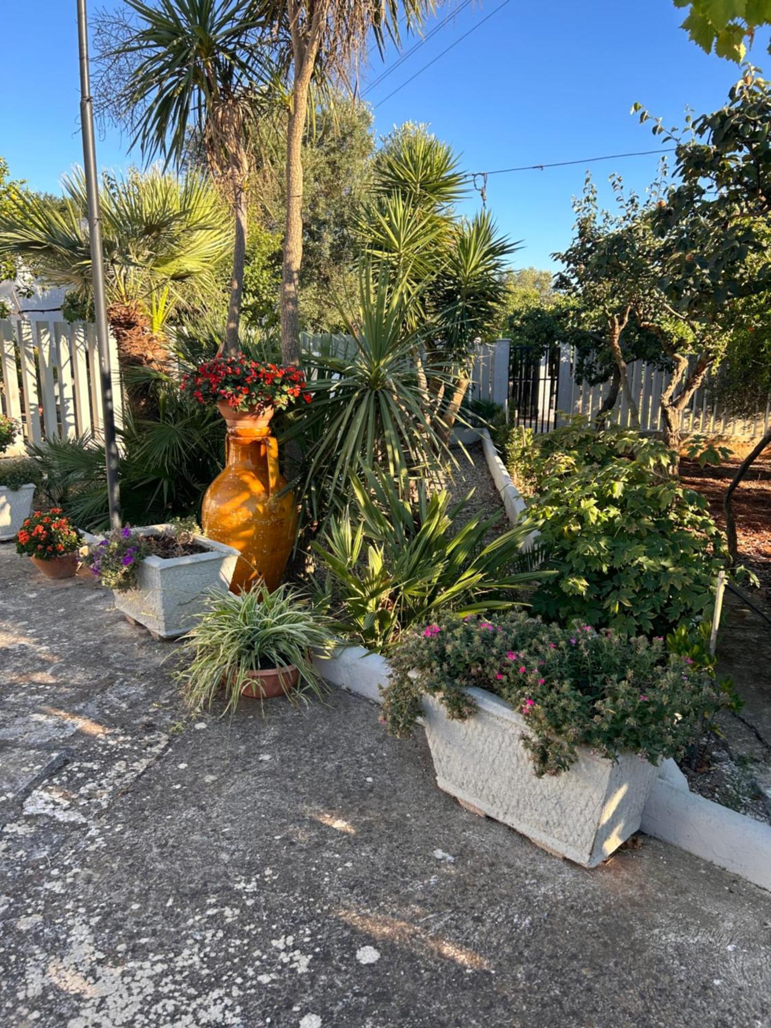 Trullo Elisabetta * Ceglie Messapica